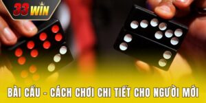 Bài Cẩu - Tổng Hợp Cách Chơi Chi Tiết Cho Người Mới