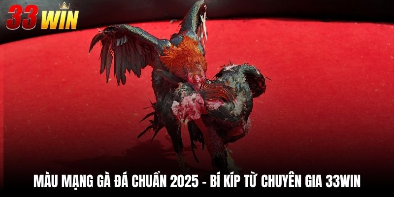 Màu Mạng Gà Đá Chuẩn 2025 - Bí Kíp Từ Chuyên Gia 33Win