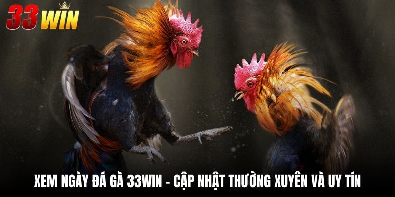 Xem Ngày Đá Gà 33Win - Thông Tin Cập Nhật 24/7 Chuẩn Xác 1 Xem Ngày Đá Gà 33Win - Cập Nhật Thường Xuyên Và Uy Tín
